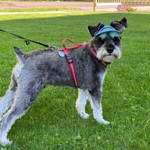 Meet your Posher, Christina